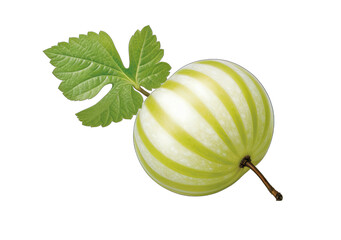 Bountiful Berries: Nature's Colorful Delights on a Transparent Background