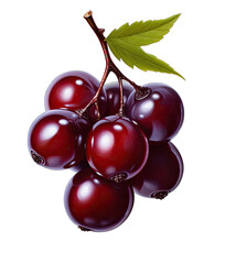 Bountiful Berries: Nature's Colorful Delights on a Transparent Background