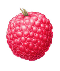 Bountiful Berries: Nature's Colorful Delights on a Transparent Background