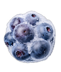 Bountiful Berries: Nature's Colorful Delights on a Transparent Background