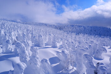 ロープウェイから見た圧巻の蔵王の樹氷
