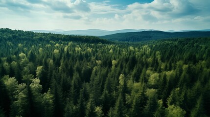 Obraz premium Aerial view capturing the beauty of a dense forest with towering trees.