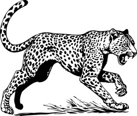 Leopard running vintage sketch