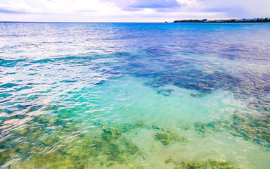 Stones rocks corals turquoise green blue water on beach Mexico.