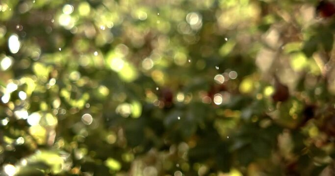 Raindrops falling in super slow motion.