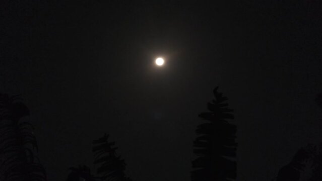 Moon View on a Calm Dark Night with a Gentle Breeze