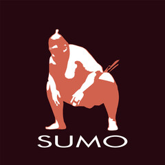 Sumo Fighter Character Illustration Vector Design