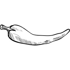 chili handdrawn illustration