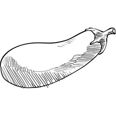 eggplant handdrawn illustration