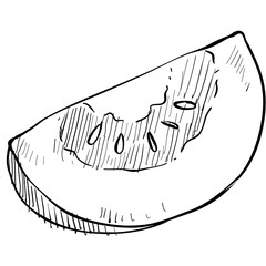 tomato handdrawn illustration