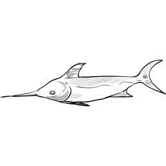 fish handdrawn illustration
