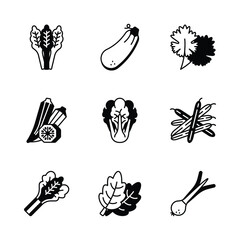 Take a look at this beautifully crafted vegetables icons set, easy to use