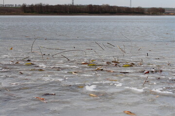 A group of birds on a frozen lake