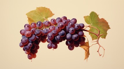 Photo of a bunch of red grapes on an isolated beige background
