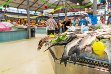 Fish stand at the city market