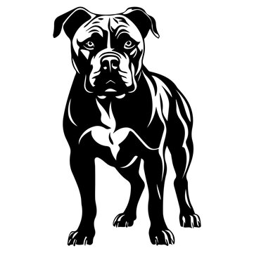 recommend clip art: Staffordshire bull terrier dog silhouette illustration, Friendly Staffordshire bull terrier dog Logo Monochrome Design, Generative AI.