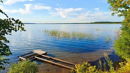 Fototapeta premium On the shore of the lake there are alder and willow trees. On the far shore there is a forest. There are reeds in the water. Near the shore is a metal pier with a collapsed wooden deck. Sunny