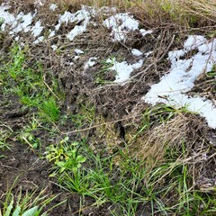 A pile of snow