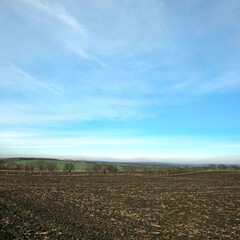 A large field with trees in the background