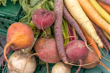 colorful carrot mixed bag at street market, Stuttgart, Germany