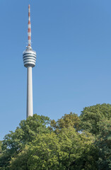 Fototapeta premium tall TV-tower looms out of wood, Stuttgart, Germany