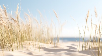 close up of a beach near some grass and sand - Powered by Adobe