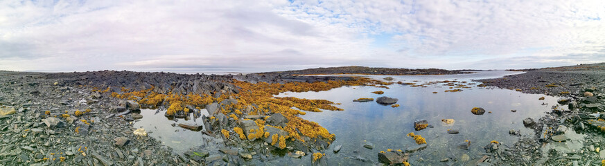 The rocky coast of the Barents Sea. Beautiful view of the rocks and the coast of the Rybachy and Sredny peninsulas, Murmansk region, Russia. The landscape is the harsh beauty of the north.