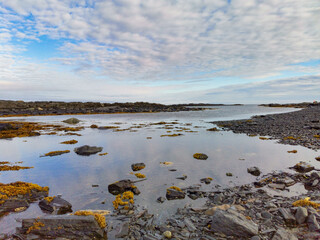 Fototapeta premium The rocky coast of the Barents Sea. Beautiful view of the rocks and the coast of the Rybachy and Sredny peninsulas, Murmansk region, Russia. The landscape is the harsh beauty of the north.