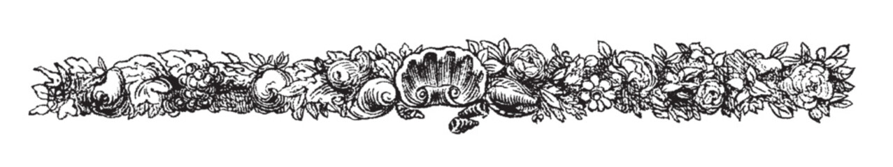 Floral Engraving Border Shell. Hand Drawn Vector Outline, Graphic, Line Art. Vintage Baroque Ornament Frame. Modern Style. Antique Botanical Retro. Victorian Frame Border. Medieval Style Divider.