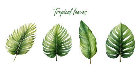 set of green tropical leaves in watercolour style. leaves clip art. 