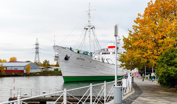 Kaliningrad, Russia - October 31, 2023: Scientific-research vessel VITYAZ, ship exhibits of the Museum of the World Ocean at the pier, Pregolya River.