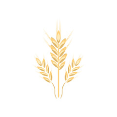 Vector illustration of an ear of wheat. Isolated on white background.