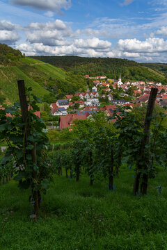 Blick auf das Weindorf Ramsthal und seine Weinberge im Abendlicht, Landkreis Bad Kissingen, Franken, Unterfranken, Bayern, Deutschland