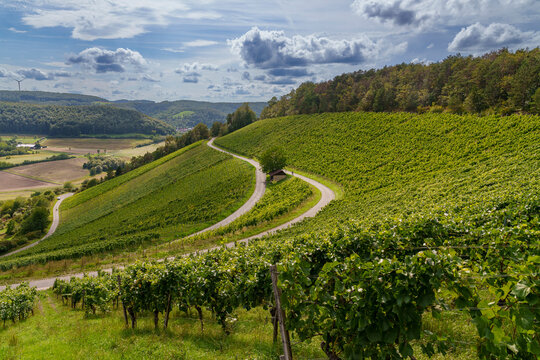 Weinberge bei Ramsthal im Abendlicht, Landkreis Bad Kissingen, Franken, Unterfranken, Bayern, Deutschland