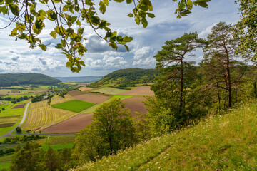 Weinberge bei Ramsthal im Abendlicht, Landkreis Bad Kissingen, Franken, Unterfranken, Bayern, Deutschland