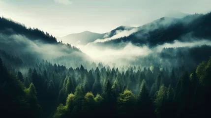 Zelfklevend Fotobehang Foggy morning in the mountain forest © Faith Stock