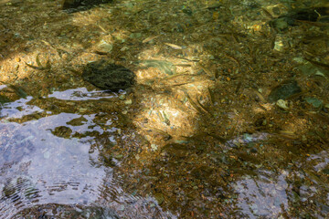 Andean choco river