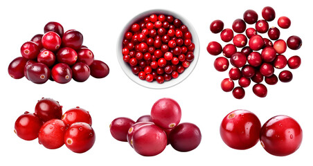 Red cranberry cranberries, many angles and view side top front heap pile bunch isolated on transparent background cutout, PNG file. Mockup template for artwork graphic design - Powered by Adobe