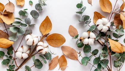 autumn composition frame made of eucalyptus branches cotton flowers dried leaves on white background autumn fall concept flat lay top view copy space