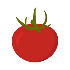 Tomato colored hand drawn isolated icon, Scalable print ready vector illustration in trendy flat style design.
