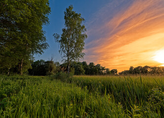 Landschaft im NSG Grettstädter Riedwiesen im Abendlicht, Landkreis Schweinfurt, Unterfranken, Bayern, Deutschland