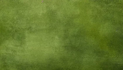 Gordijnen olive green background color art canvas texture © Mary