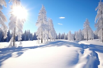 a winter scene with blue sky and snowy trees