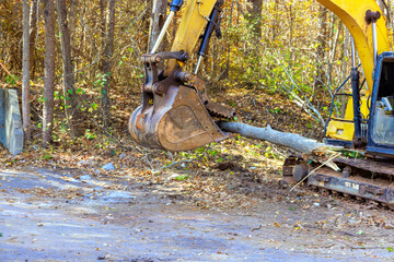 Contractor uproots trees with tractor in forest at preparation for construction of new building