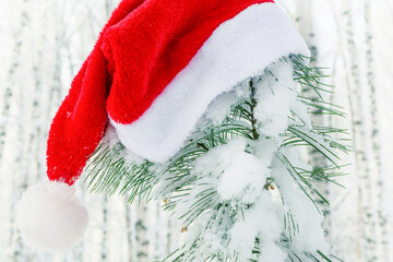 Santa Claus's hat is placed on a snow-covered fir branch in the winter forest. Christmas concept