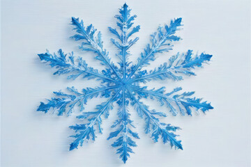  Blue  macro snowflake
