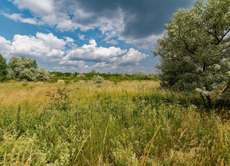 Fototapeta premium Landschaft und Natur am Geiseltalsee - einem ehemaligen Tagebau - in der Nähe von Merseburg, Sachsen-Anhalt, Deutschland