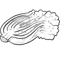 Kimchi, kimchi illustration, winter, korean side dish, kimchi season