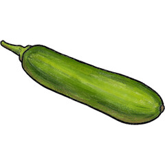 zucchini isolated on white background