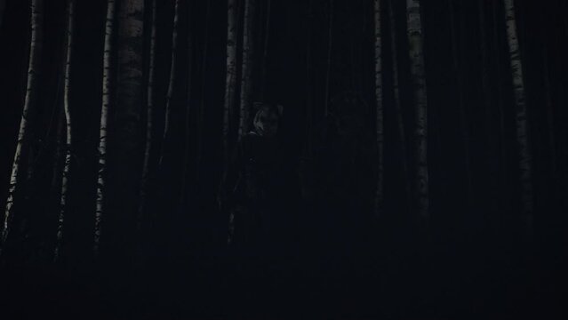 Soldier in a scary mask. warrior in a dark forest with a scary mask on his head. illuminated with red and white light. Horror

